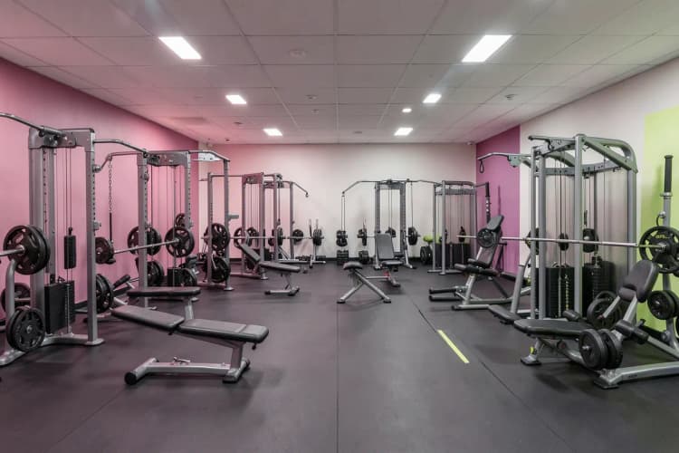 Grupo de pessoas treinando juntas em uma academia moderna com equipamentos de peso.